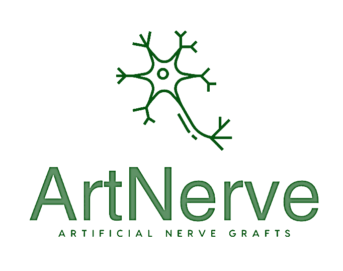 Ein grüner Umriss eines Neurons über den Worten ArtNerve und ARTIFICIAL NERVE GRAFTS in Großbuchstaben. Das Design deutet auf einen Fokus auf neuronale oder medizinische Technologie hin.