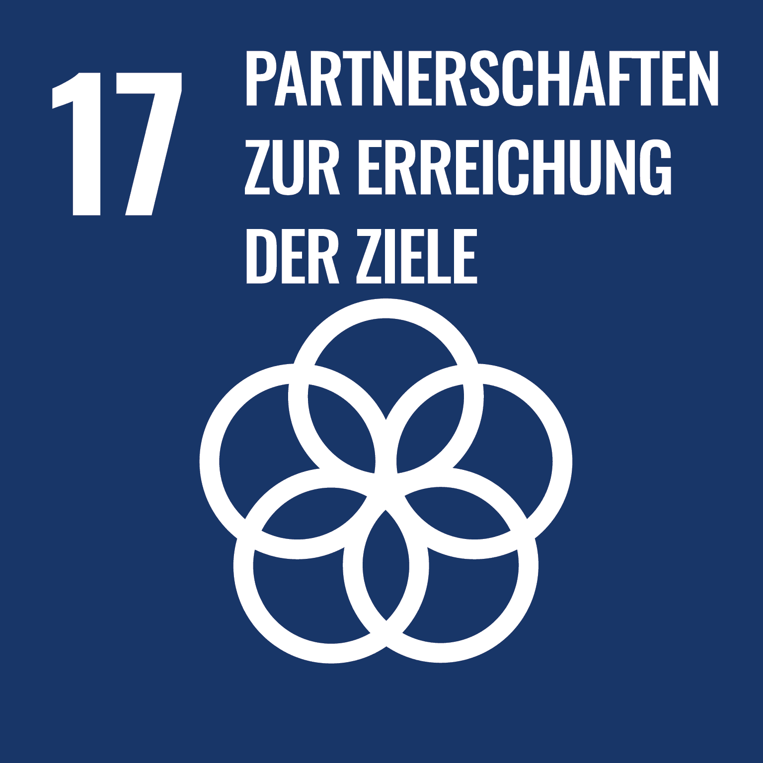 Partnerschaften zur Erreichung der Ziele