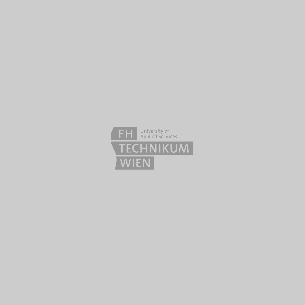 Martin H dl Holl MSc FH Technikum Wien