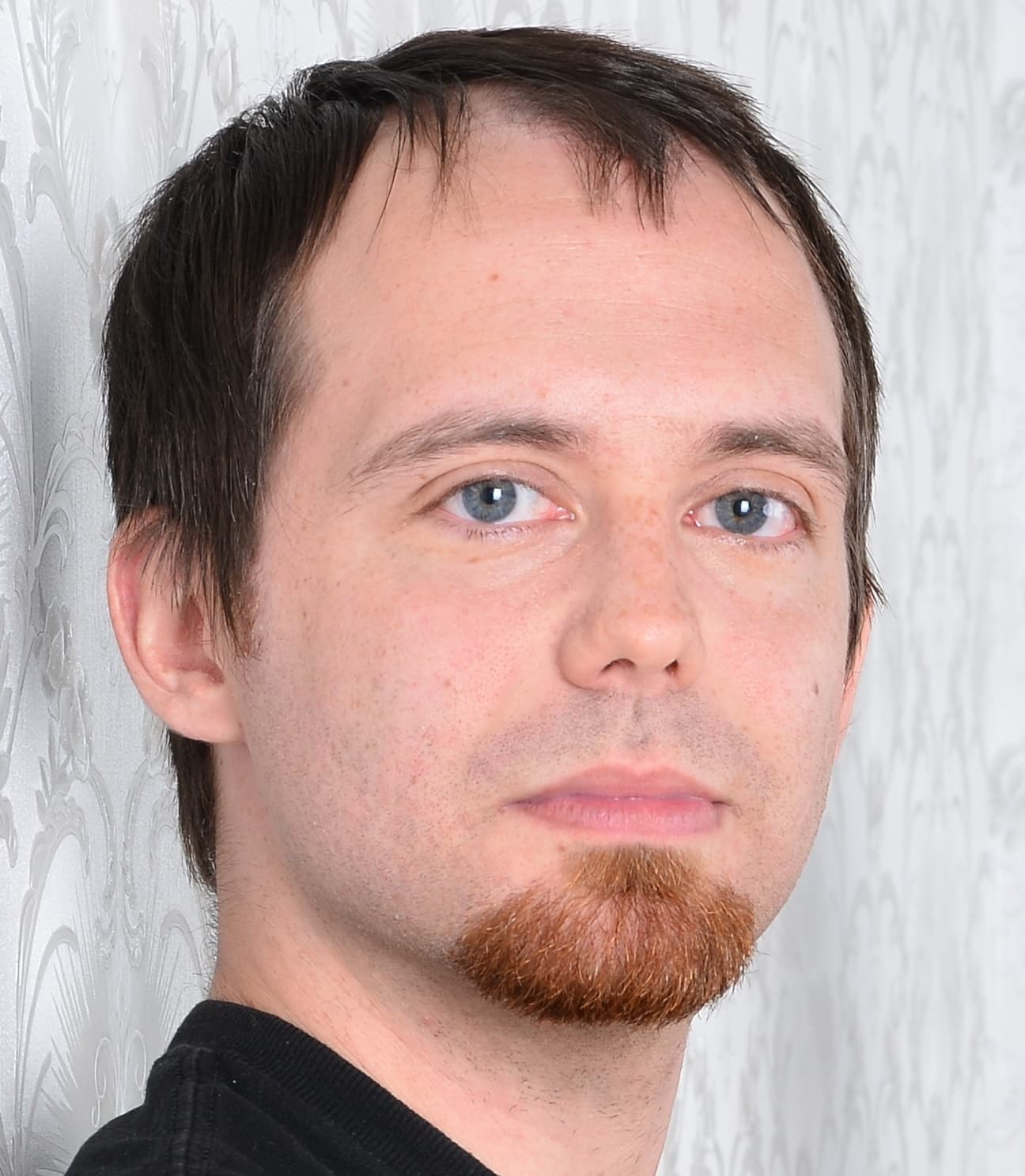 Wilfried W ber MSc FH Technikum Wien