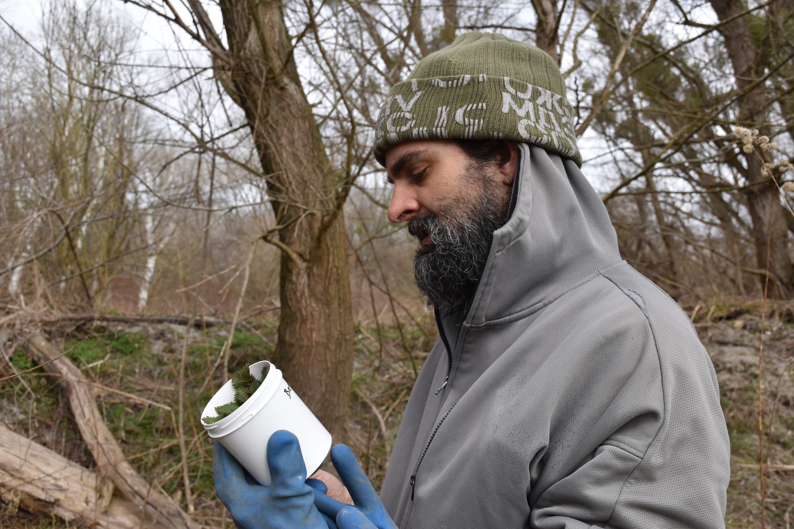 Eine Person mit Bart, grüner Mütze, grauer Jacke und blauen Handschuhen schaut sich einen weißen Behälter mit Blättern darin genau an, der im Freien zwischen blattlosen Bäumen steht.