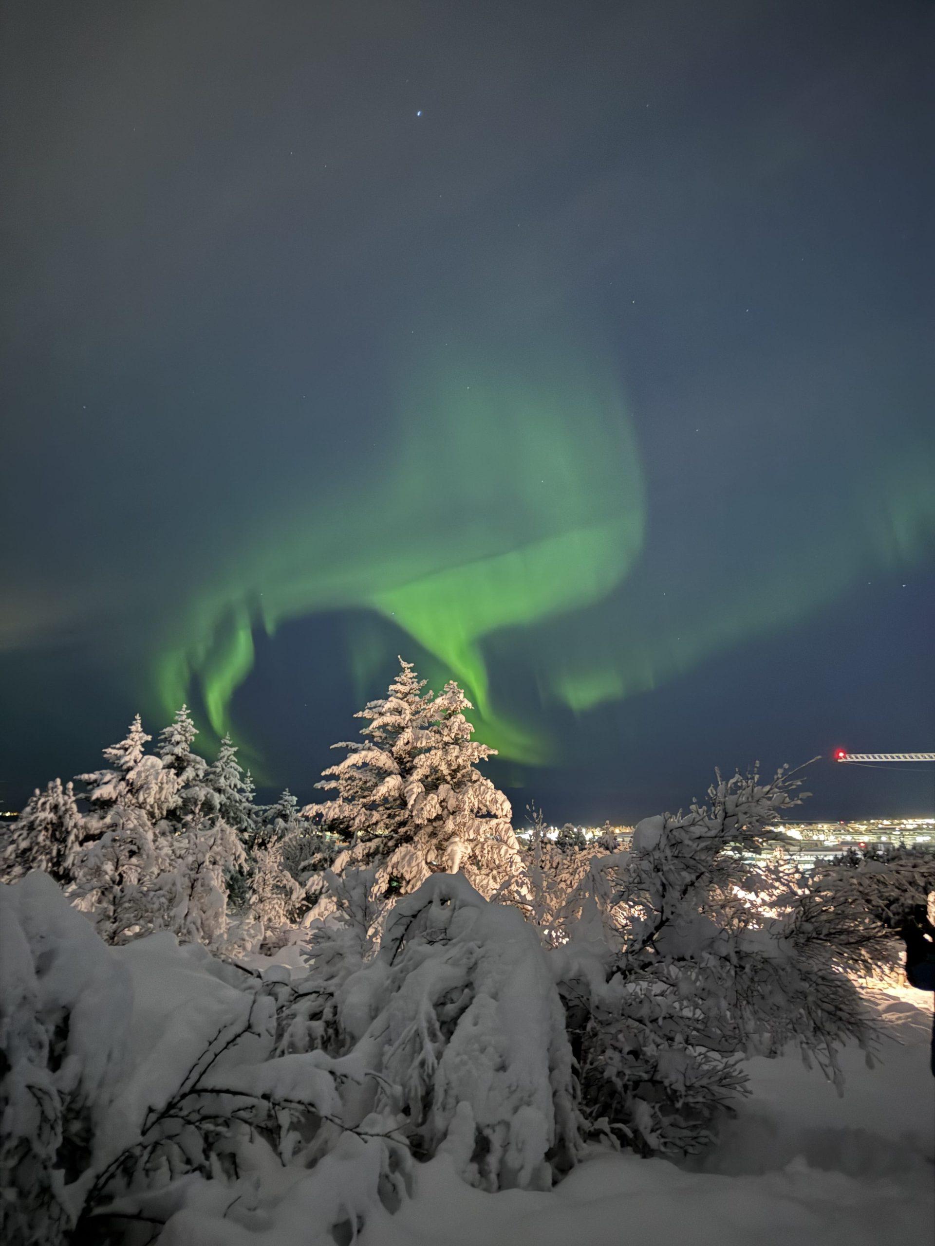 Grüne Nordlichter tanzen am Nachthimmel über schneebedeckten Bäumen und einer entfernten Stadtlandschaft und schaffen so eine eindrucksvolle Winterszene.