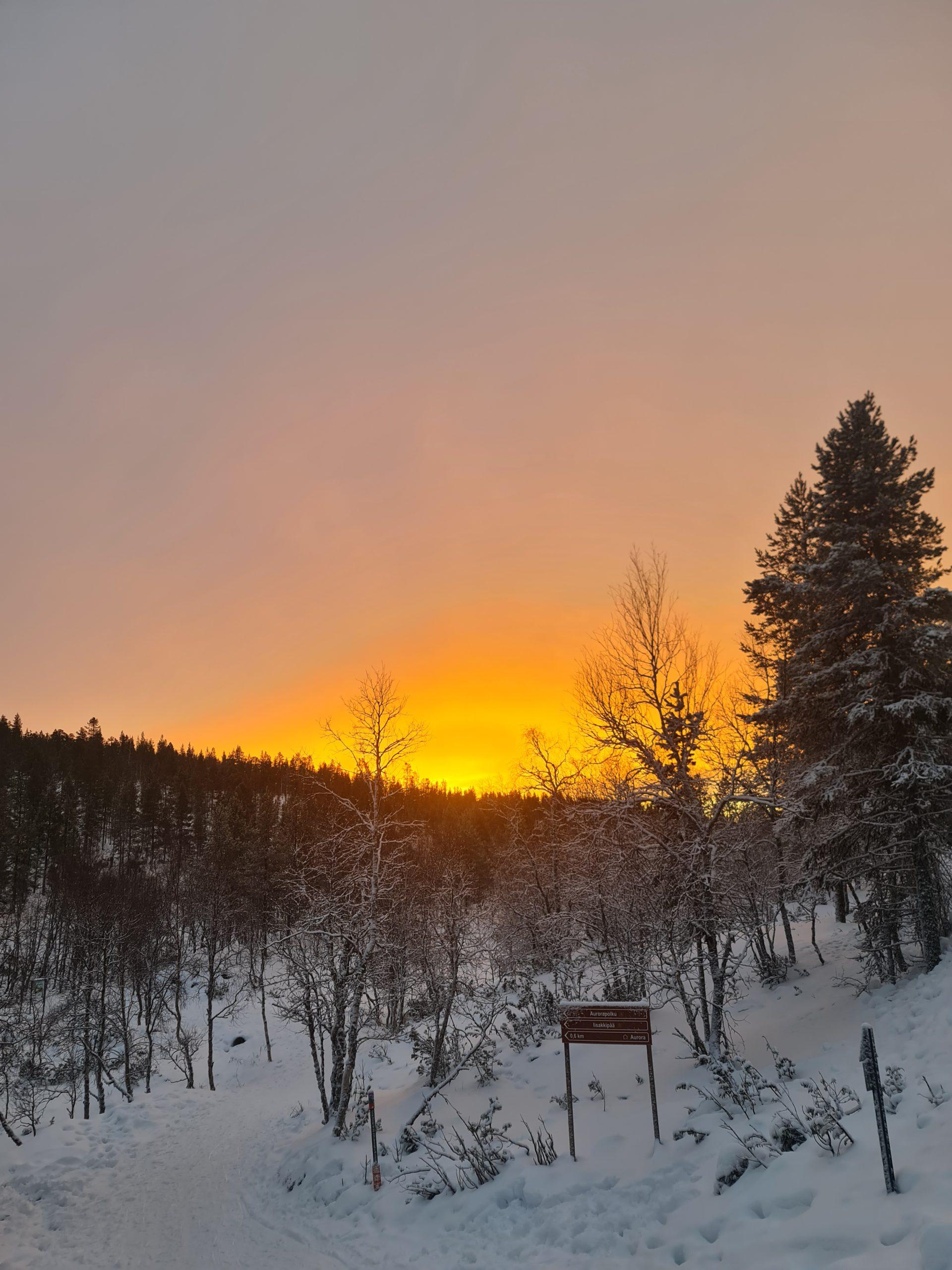 Eine verschneite Landschaft mit kahlen Bäumen und hohen Kiefern bei Sonnenuntergang. Der Himmel leuchtet orange und gelb über der dunklen Baumgrenze und bildet einen warmen Kontrast zum kalten, schneebedeckten Boden. Ein Holzschild steht am Wegesrand.
