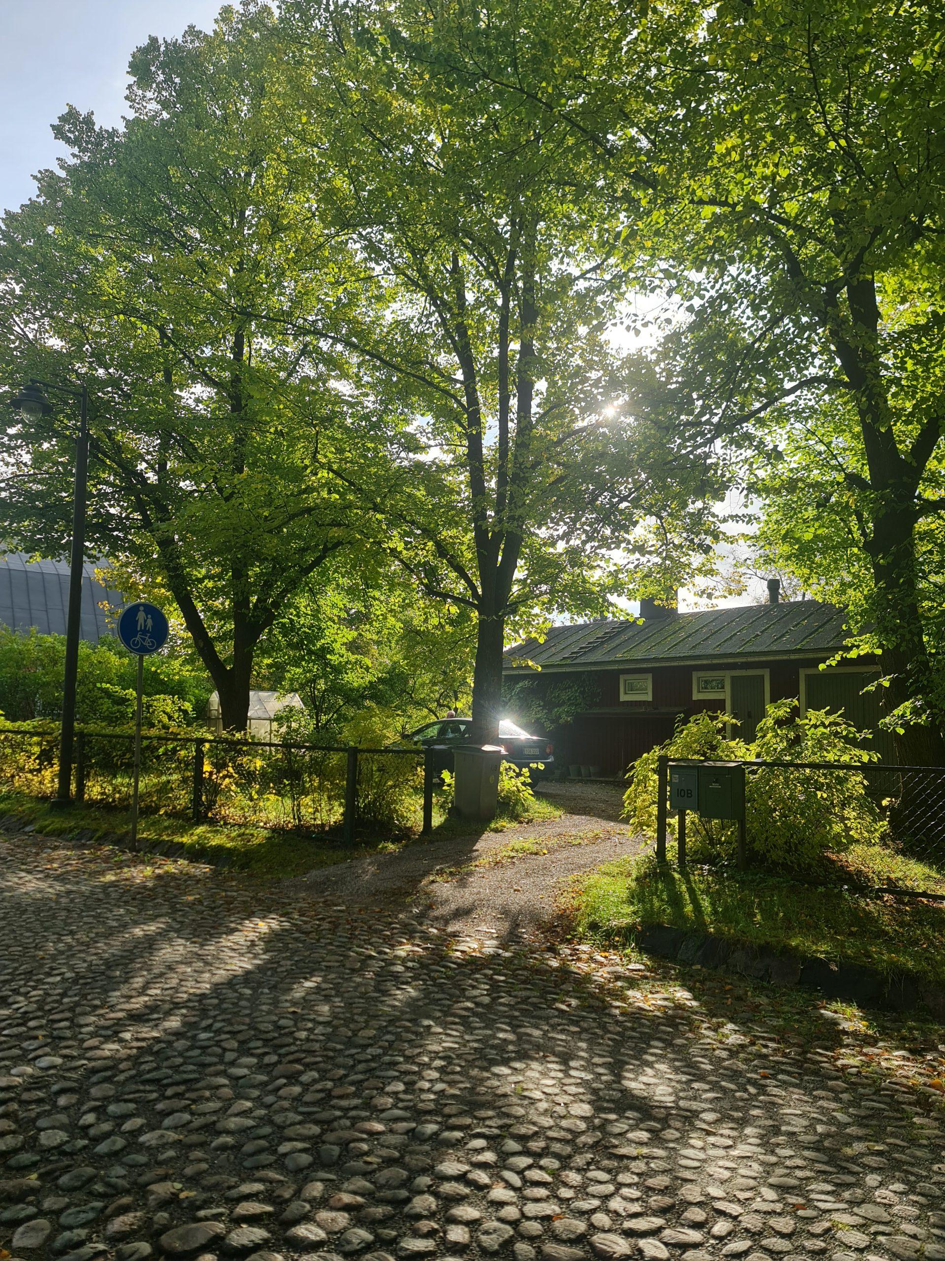 Das Sonnenlicht fällt durch die hohen grünen Bäume, die eine Straße mit Kopfsteinpflaster säumen. Ein Haus mit dunklem Dach und hölzernem Äußeren ist teilweise hinter einem Zaun zu sehen, mit Schattenwurf auf dem Boden und einem blauen Schild an einem Pfosten in der Nähe.