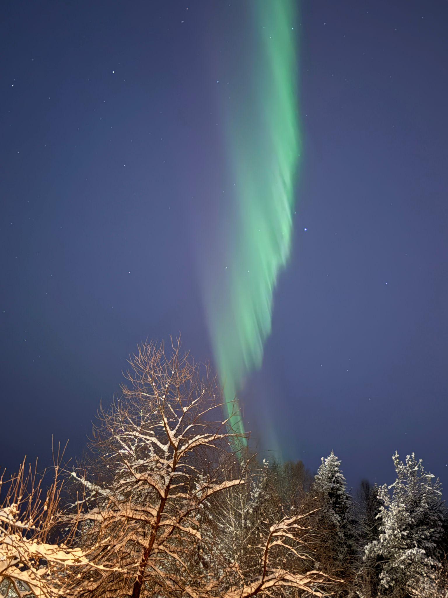Grüne Nordlichter erstrecken sich über einen dunklen Nachthimmel über schneebedeckten Bäumen und schaffen eine lebendige und mystische Szene in einer Winterlandschaft. Die Sterne sind am klaren Himmel zu sehen.