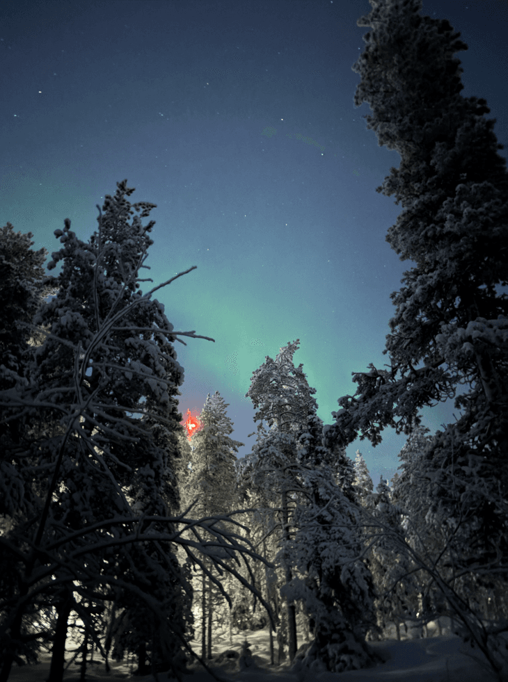 Schneebedeckte Bäume unter einem dunklen, sternenklaren Himmel mit grünem Polarlicht. Ein kleines, rotes Licht leuchtet zwischen den Bäumen und schafft einen auffälligen Kontrast in der winterlichen Waldszene.