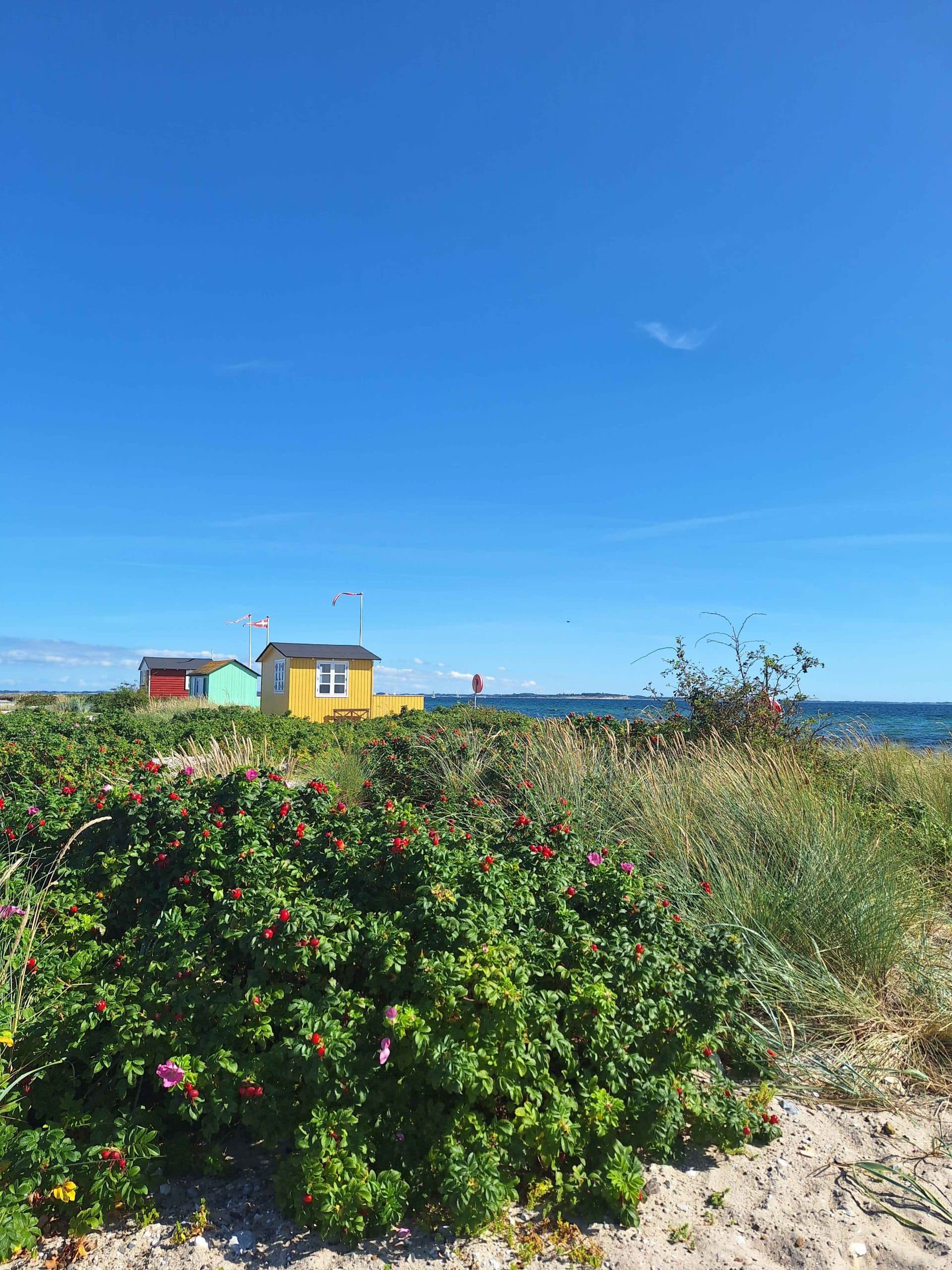 Bunte Strandhütten stehen hinter üppigen grünen Büschen mit Wildblumen, vor einem strahlend blauen Himmel und dem Meer im Hintergrund an einem sonnigen Tag.