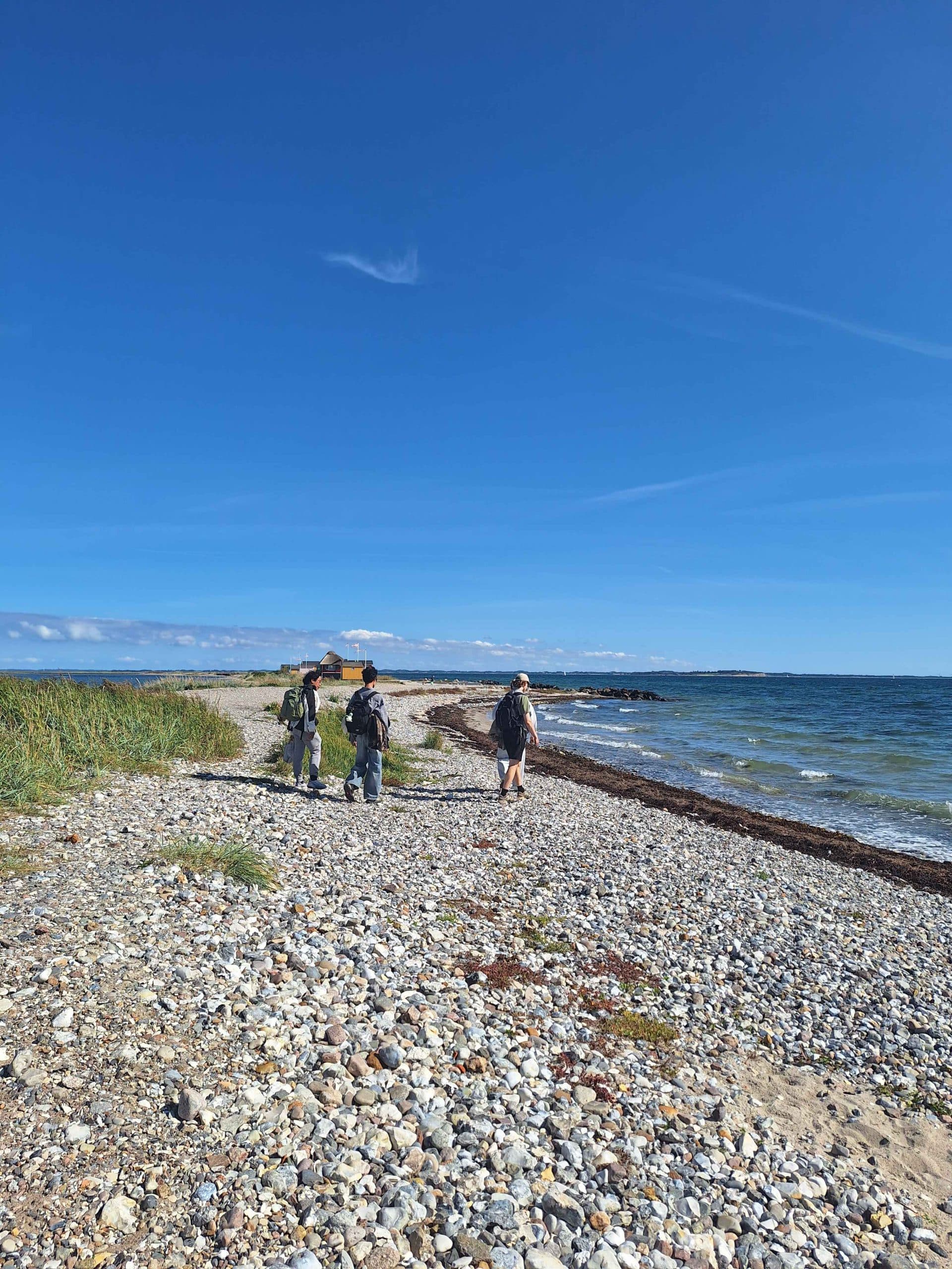 Vier Personen spazieren bei strahlend blauem Himmel an einem felsigen, kieseligen Ufer am Meer entlang. Auf der einen Seite wächst hohes Gras, auf der anderen Seite nähern sich sanfte Wellen der Küste.