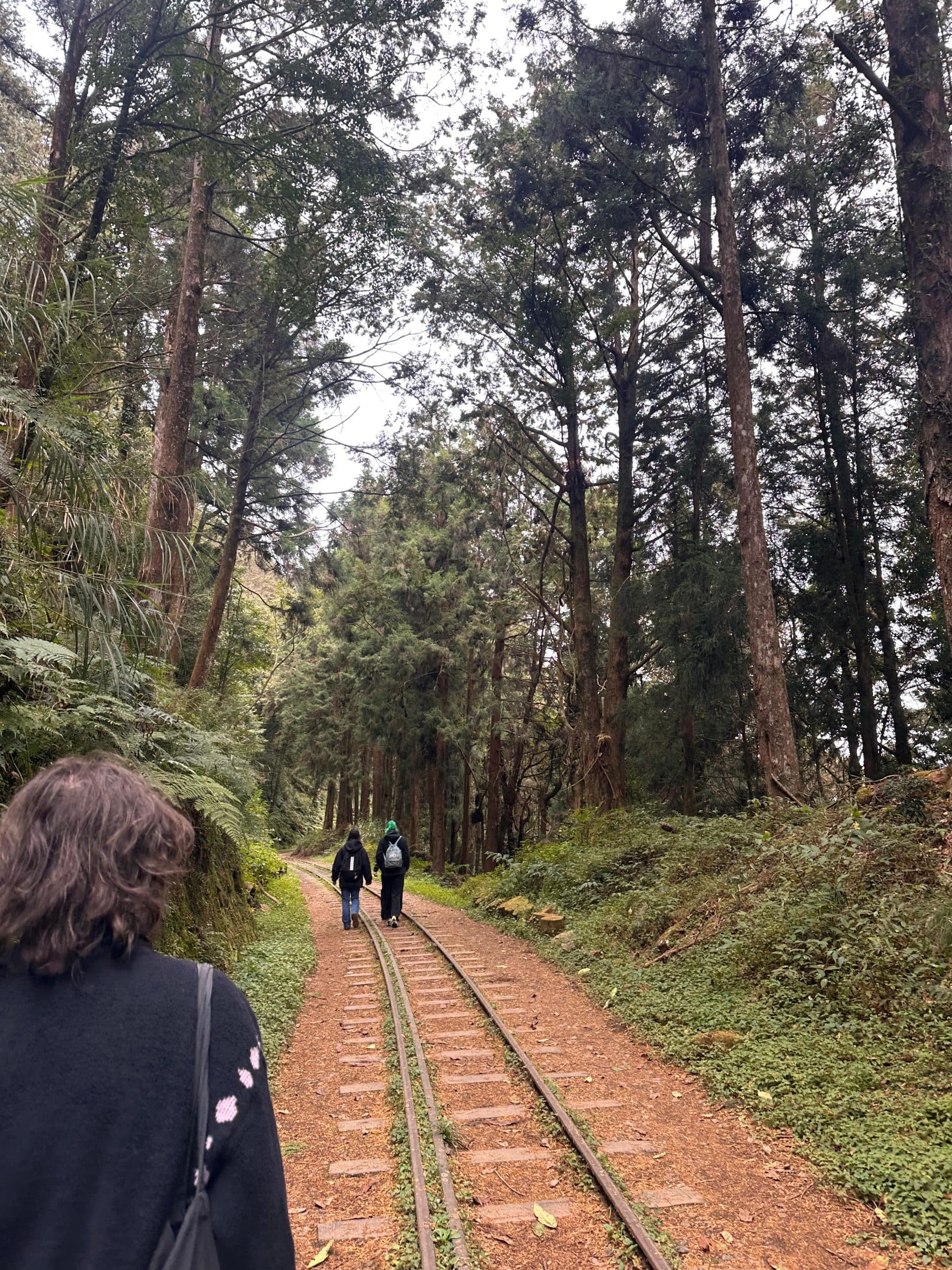 Drei Personen gehen an einem bewölkten Tag entlang der schmalen Zuggleise, die von hohen, dichten Bäumen und Grünflächen umgeben sind. Die Szene hat eine friedliche, natürliche Atmosphäre.