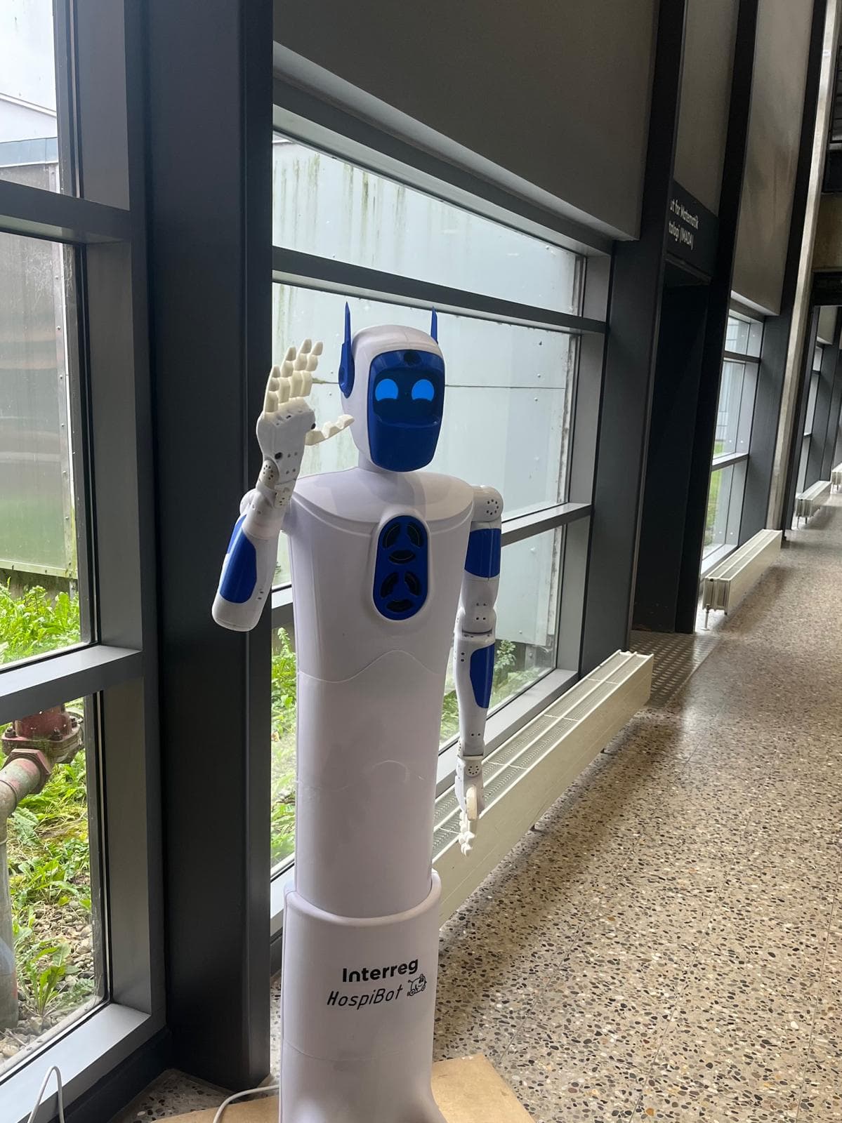 Ein weiß-blauer humanoider Roboter mit erhobener Hand steht in einem Innenraum vor großen Fenstern und winkt. Der Roboter hat ein digitales Gesicht mit blau leuchtenden Zügen und trägt die Aufschrift Interreg HospiBot auf seinem Körper.