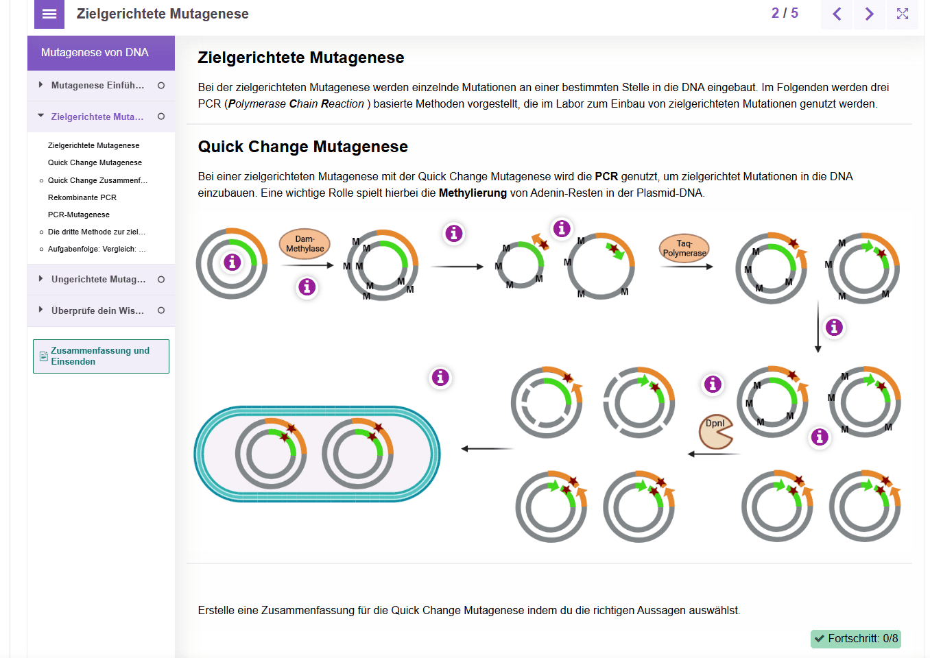 Screenshot eines digitalen Lernmoduls zur ortsgerichteten Mutagenese, das beschriftete Diagramme von Plasmid-DNA, PCR und Zelltransformation zeigt, mit Anleitungstext und Navigationsmenü auf der linken Seite.