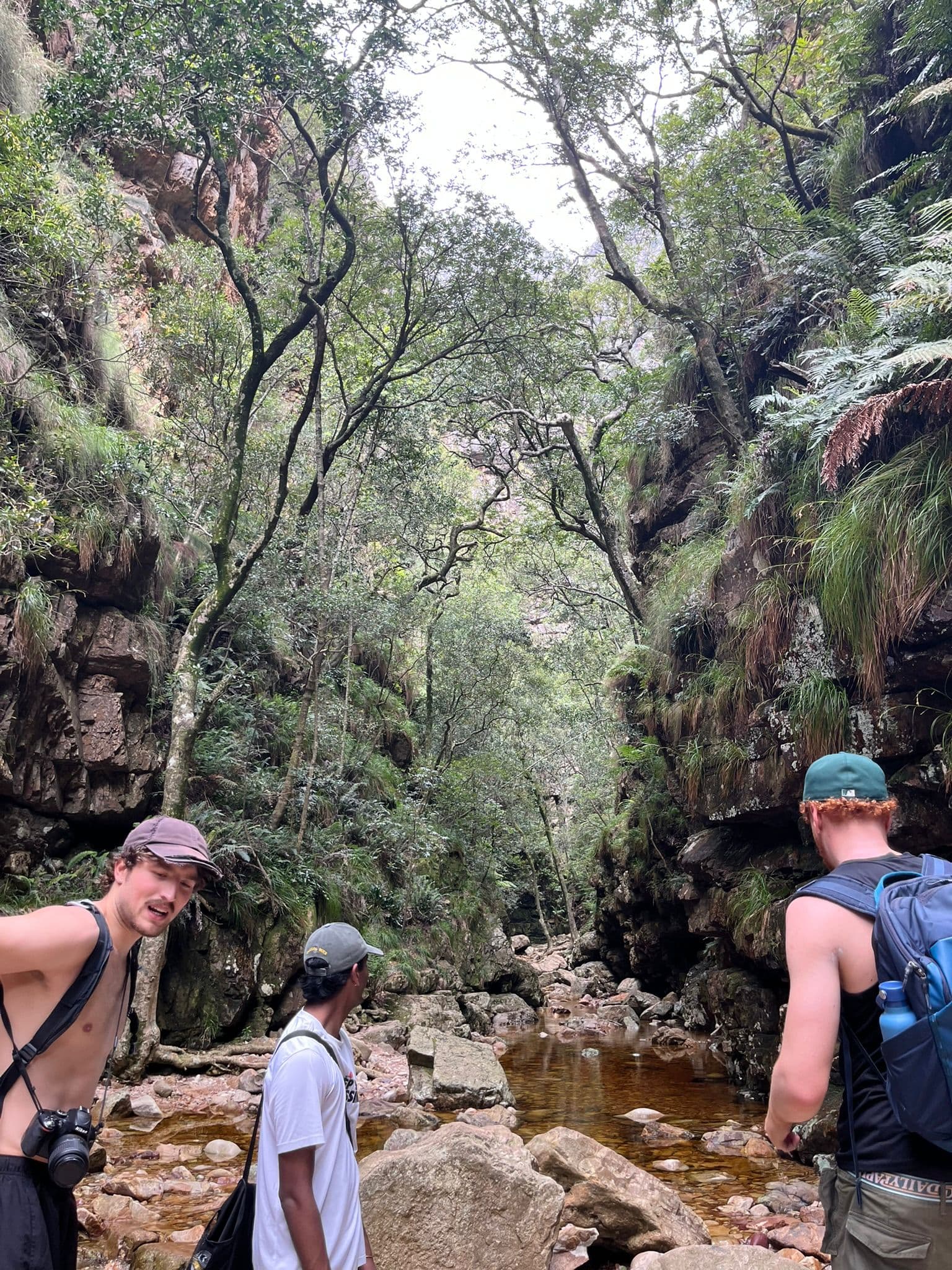 Drei Personen stehen auf felsigem Grund neben einem seichten Bach in einer üppigen, grünen Schlucht mit hohen Felsen und dichten Bäumen. Eine Person ist ohne Hemd und hat eine Kamera dabei, eine andere trägt ein weißes Hemd und eine Mütze, und die dritte hat einen Rucksack.