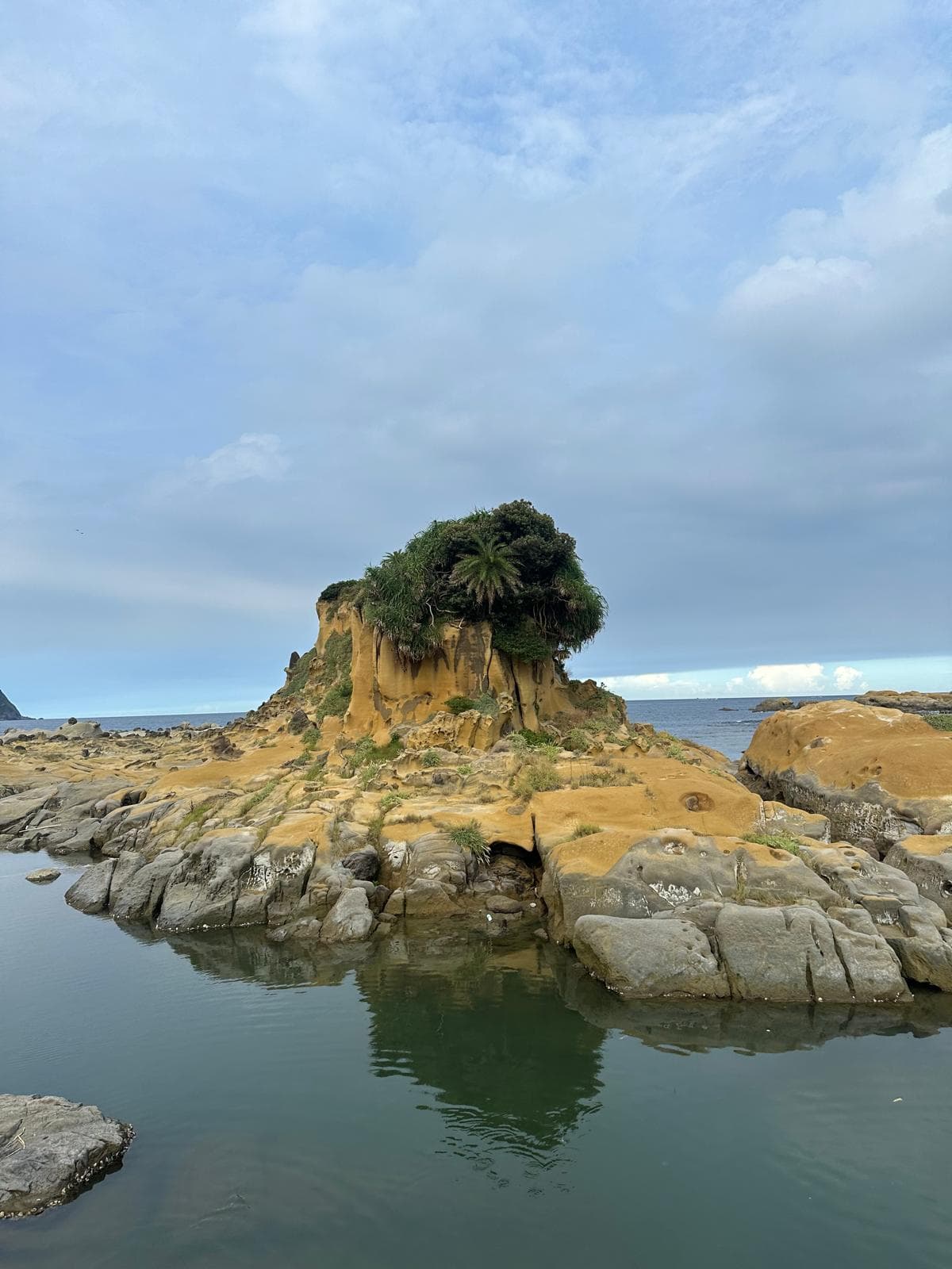 Eine felsige Küstenformation mit gelblich-braunen Felsen, spärlicher grüner Vegetation und einer kleinen Wasserlache im Vordergrund unter einem bewölkten Himmel. Im Hintergrund ist das Meer zu sehen.