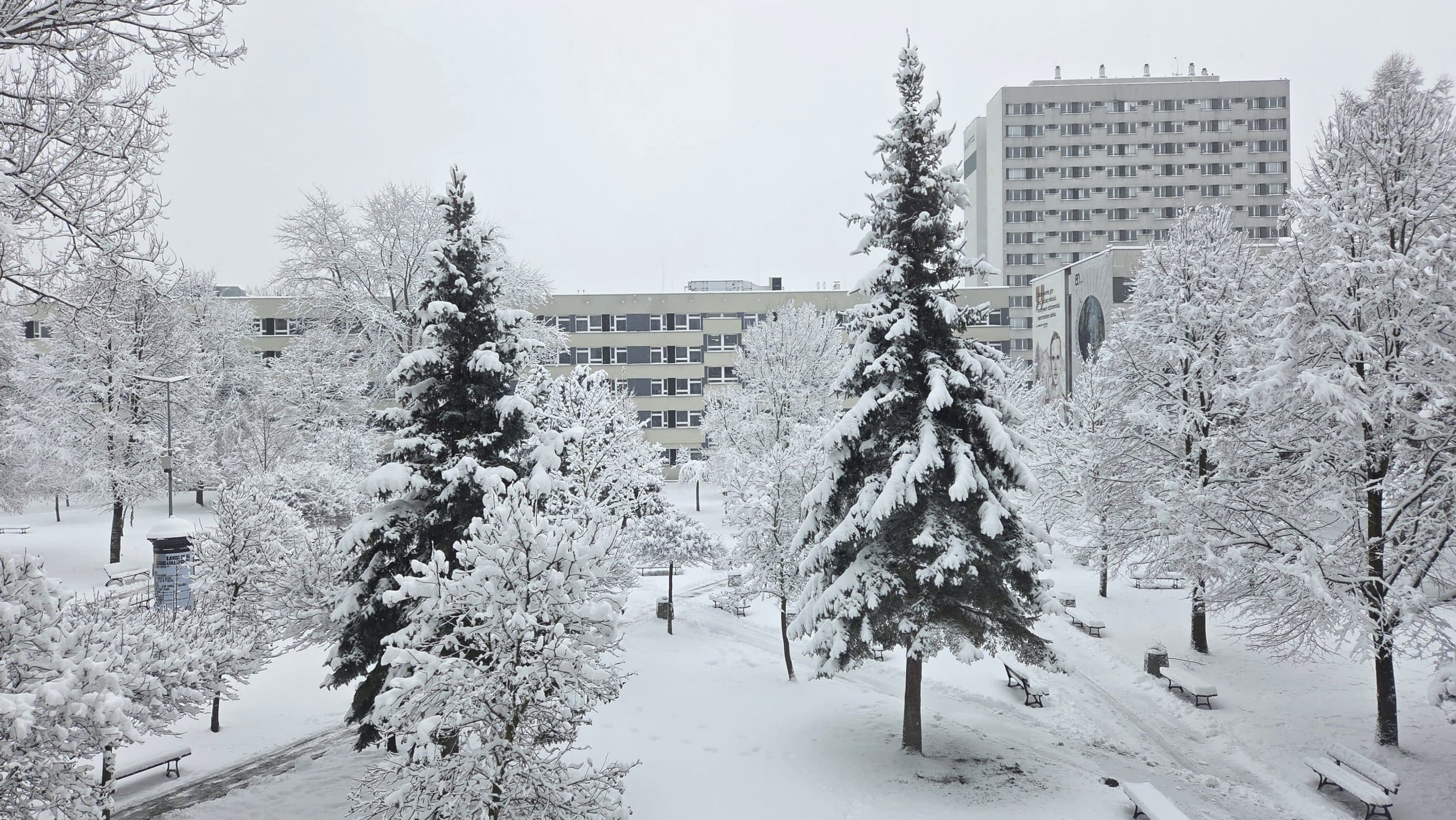 Schneebedeckte Bäume und Parkbänke vor mittleren und hohen Gebäuden unter einem grauen Winterhimmel, die eine friedliche städtische Winterszene schaffen.