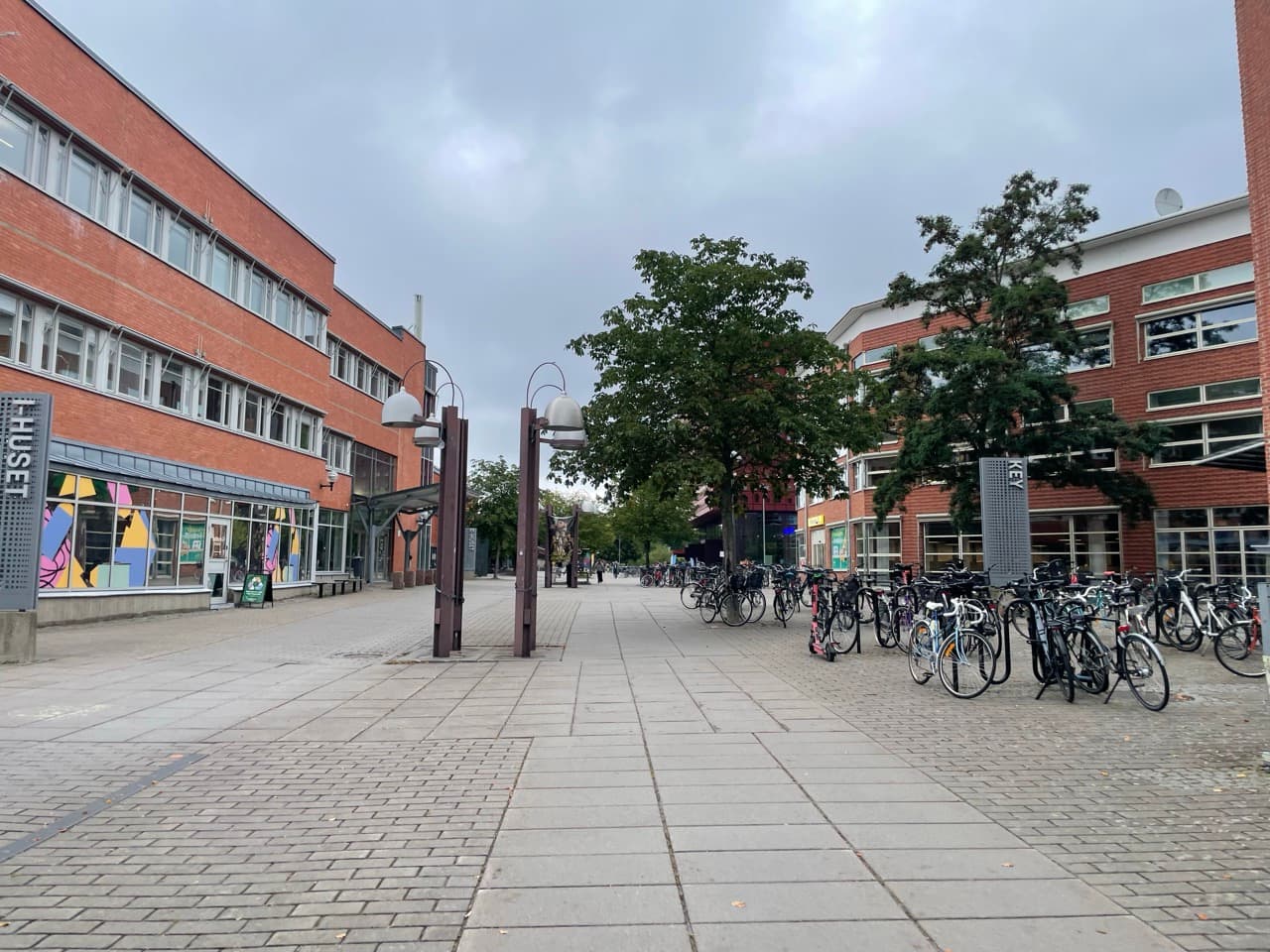 Ein gepflasterter Gehweg, gesäumt von Fahrrädern und Bäumen, verläuft zwischen roten Backsteingebäuden unter einem bewölkten Himmel. An einem Fenster auf der linken Seite sind bunte Kunstwerke ausgestellt, und in der Mitte stehen Laternenpfähle aus Metall.