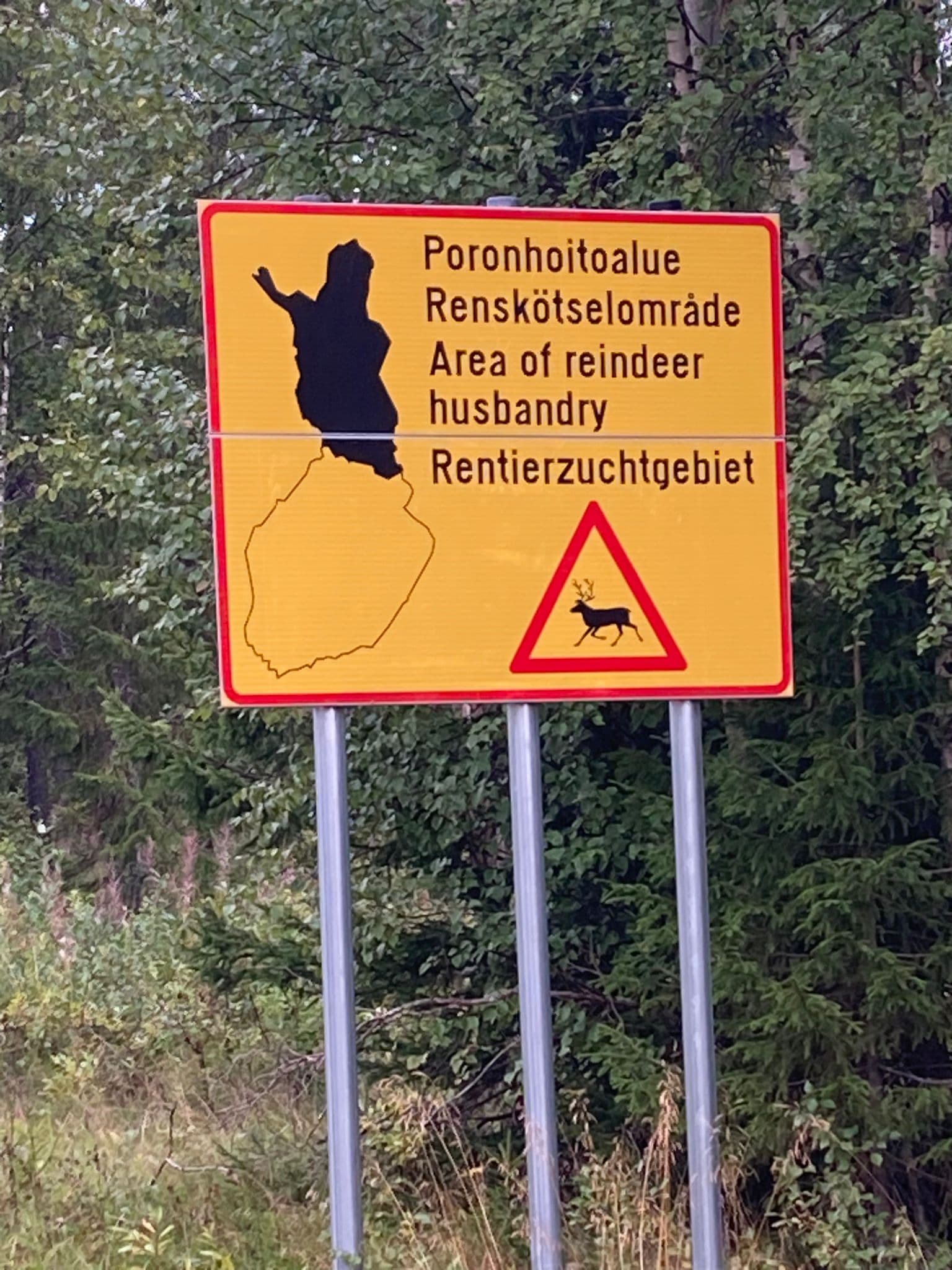 Ein gelbes Verkehrsschild zeigt eine Karte von Finnland und warnt Autofahrer in vier Sprachen, dass sie in ein Rentierzuchtgebiet einfahren, ergänzt durch ein dreieckiges Warnsymbol mit einem Rentier. Im Hintergrund sind Bäume und Grünflächen zu sehen.