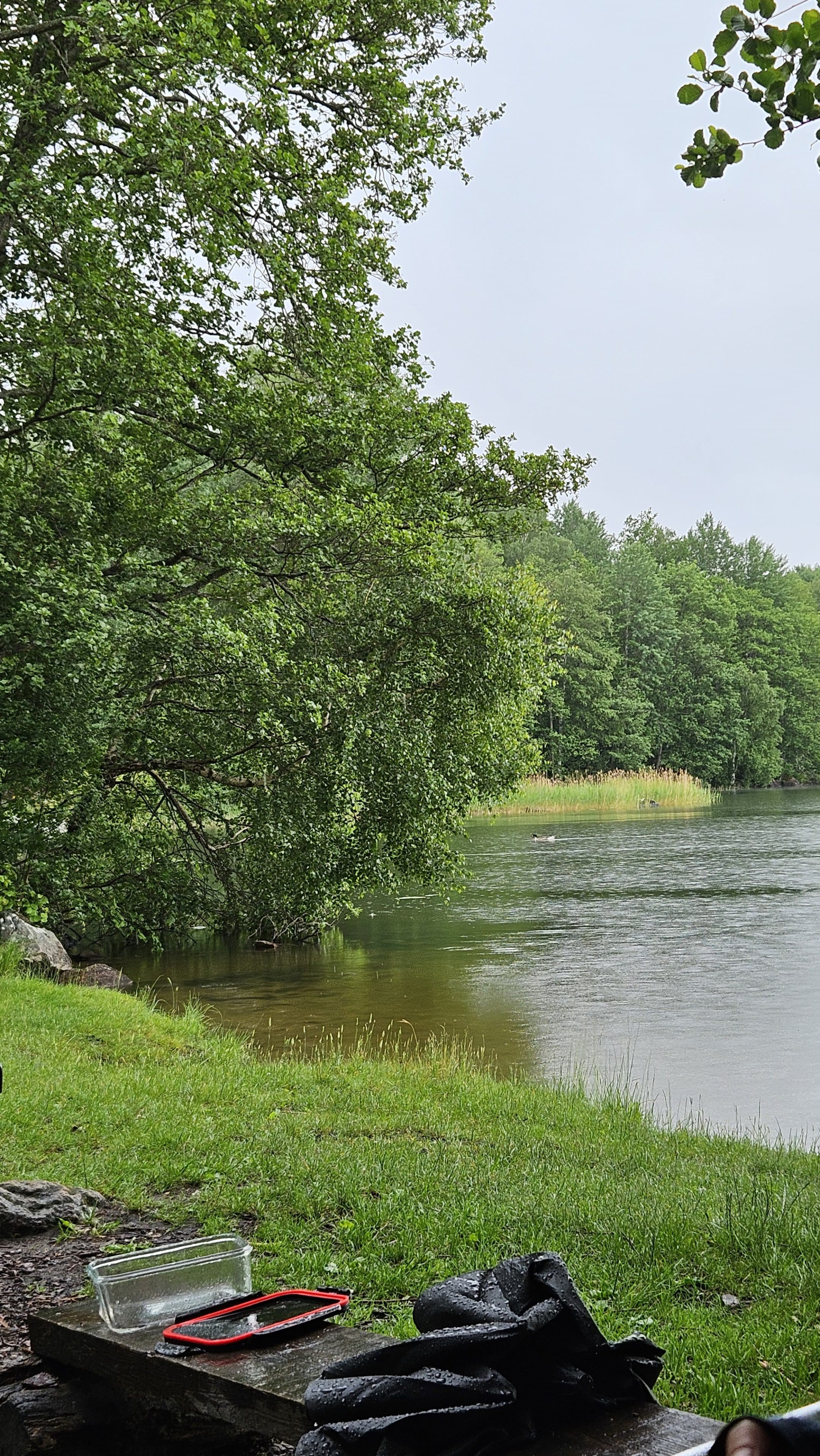 Ein ruhiger See, umgeben von üppig grünem Baumbestand und Gras, an einem bewölkten Tag. Im Vordergrund steht auf einer Steinbank ein durchsichtiger Plastikbehälter, ein rot umrandetes Gegenstand sowie einige dunkle Kleidungsstücke oder Taschen.