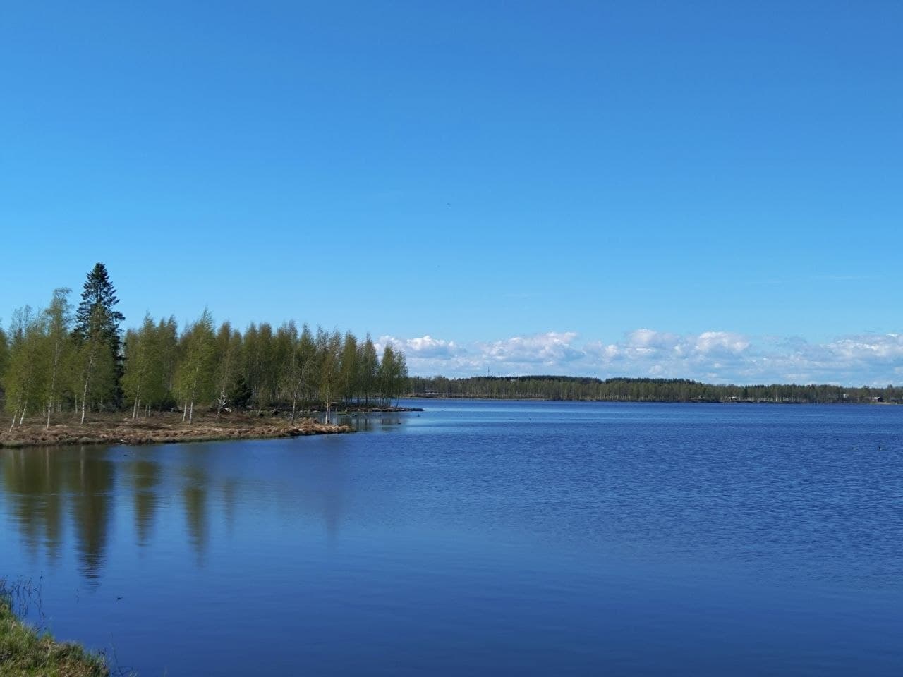 Ein ruhiger See mit klarem, blauem Wasser, links von einer Reihe grüner Bäume gesäumt, unter einem strahlend blauen Himmel mit vereinzelten Wolken.