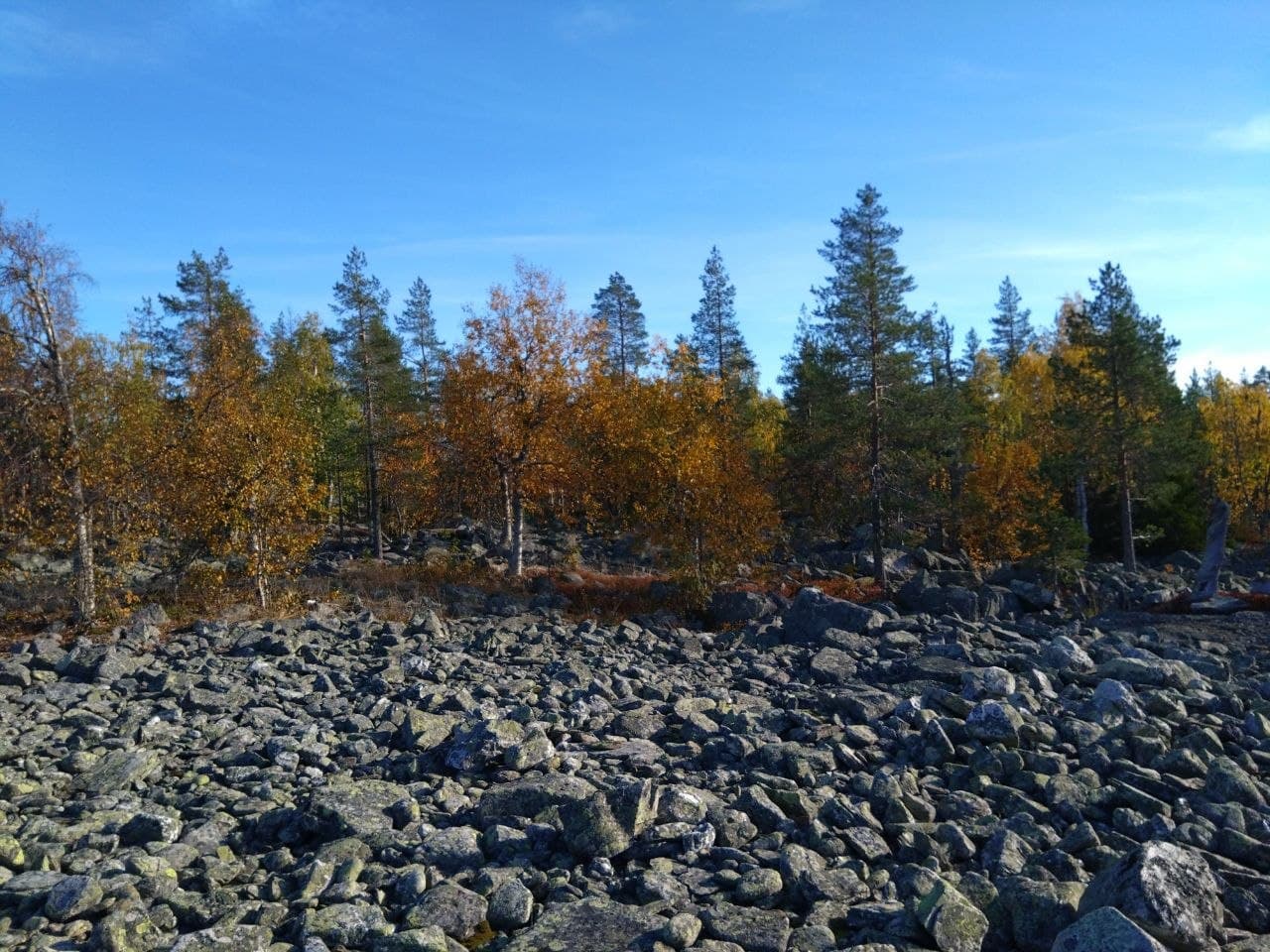 Im Vordergrund felsiger Boden mit großen Steinen, im Mittelgrund Herbstbäume mit orangefarbenen und gelben Blättern und im Hintergrund ein strahlend blauer Himmel.